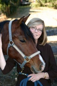 animal communication with horses